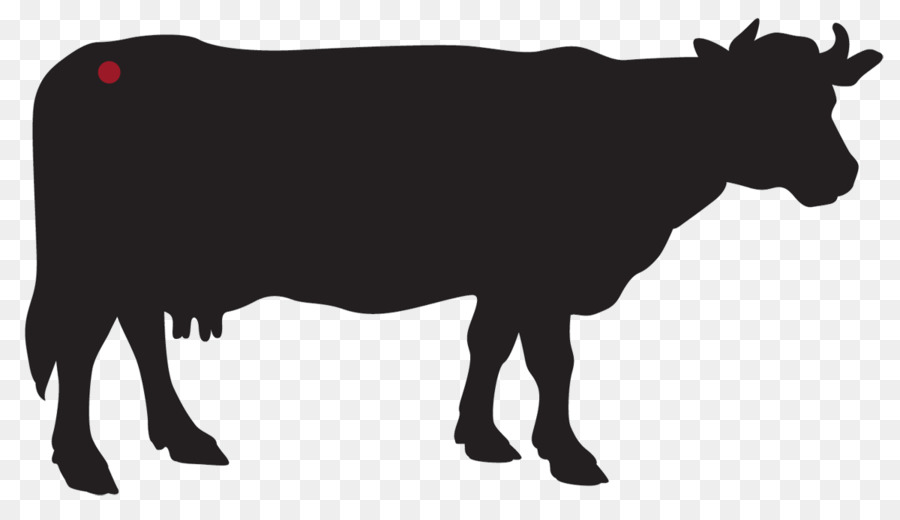 Maglia bovini Holstein Friesian bestiame allevamento di Bue - Chateaubriand