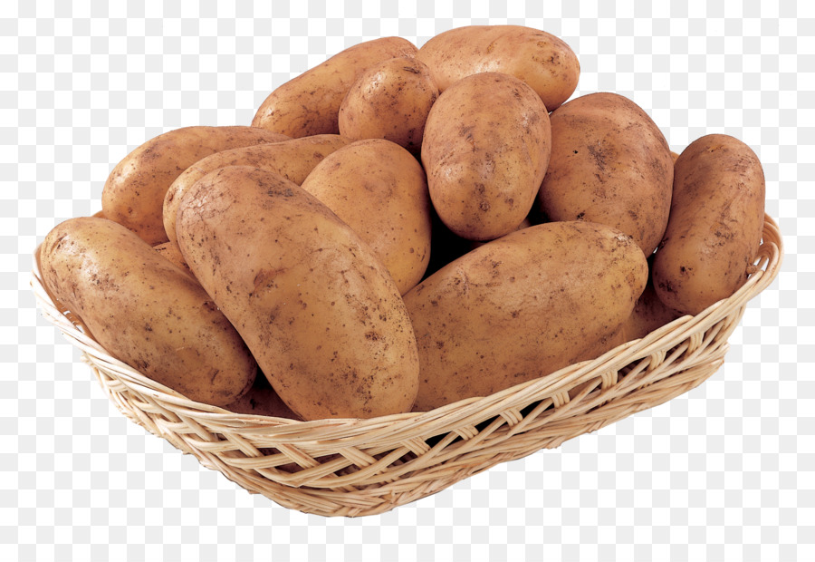 Russet burbank Kartoffel-Fingerling Kartoffel Yukon Gold Kartoffel-Süßkartoffel Yam - kartoffel