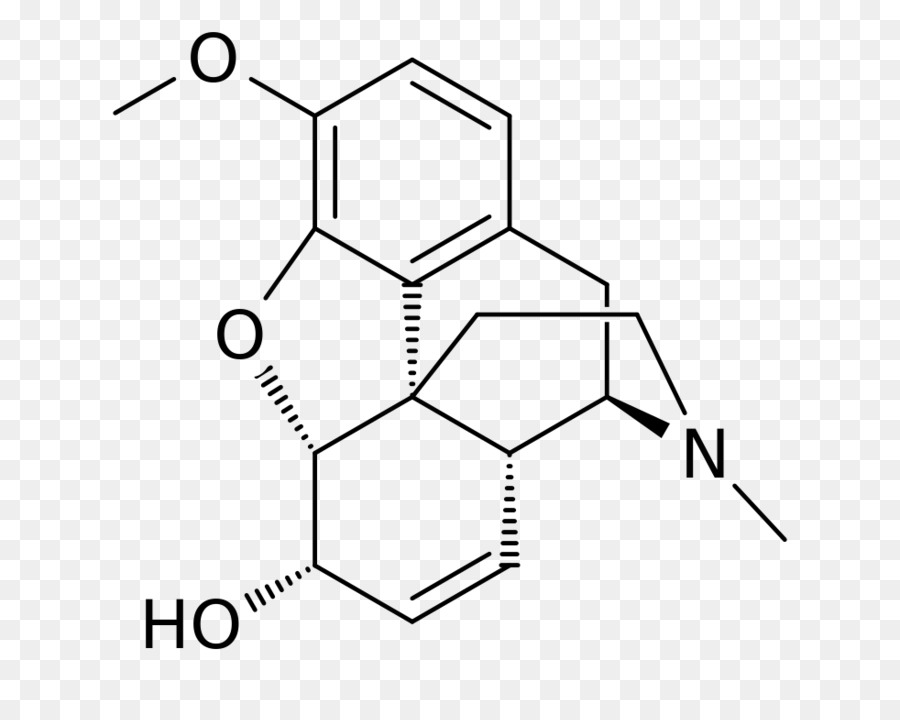 Codein Morphin Opium Molekül Opioid - Codein