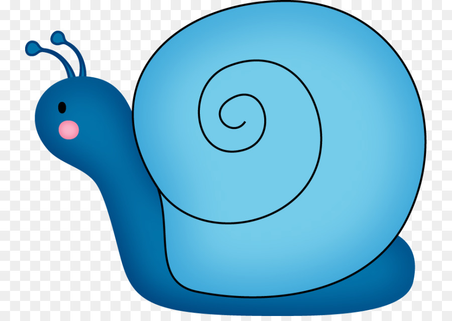 Snail Cartoon png download - 800*630 - Free Transparent Snail png Download.  - CleanPNG / KissPNG