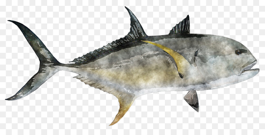 Thunnus pesce Spada pittura ad Acquerello di Squalo, il pesce azzurro - pesce acquerello