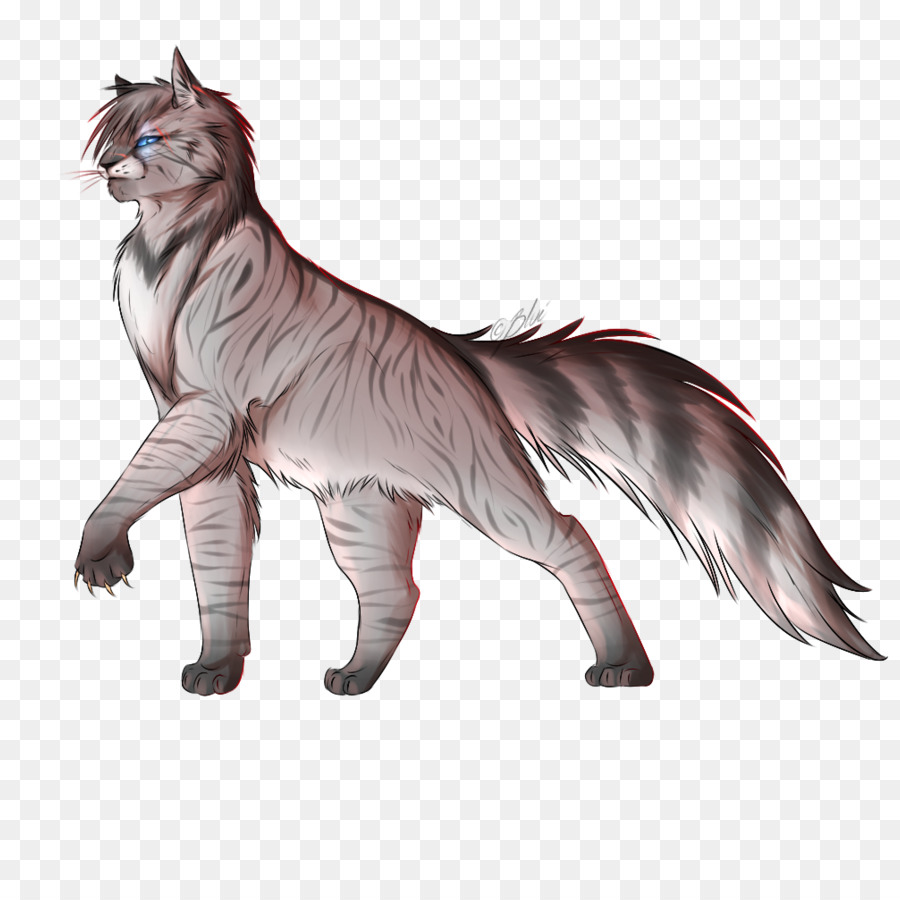 Schnurrhaare Wildkatze, Norwegische Wald Katze, Krieger Zeichnen - Silberhabicht