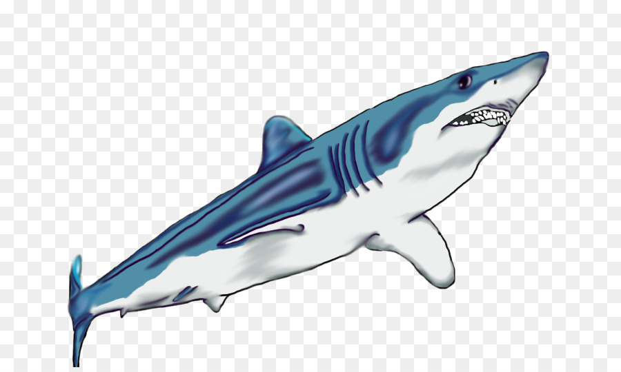 Shark Fin Background