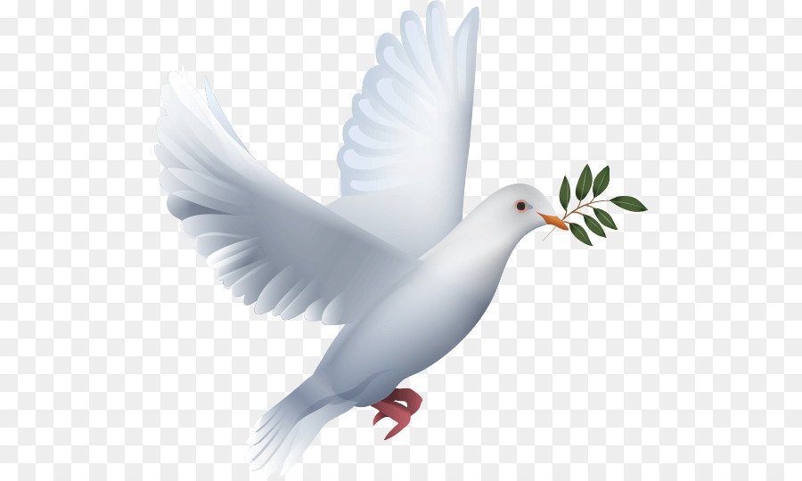 Thông Tin Tinglev The Peace - Chim bồ câu,
