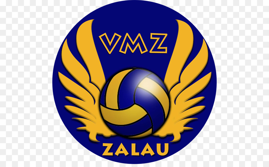 VM Zalau CS Arcada Galati Tricolor LMV Ploiesti Volleyball - Volleyball