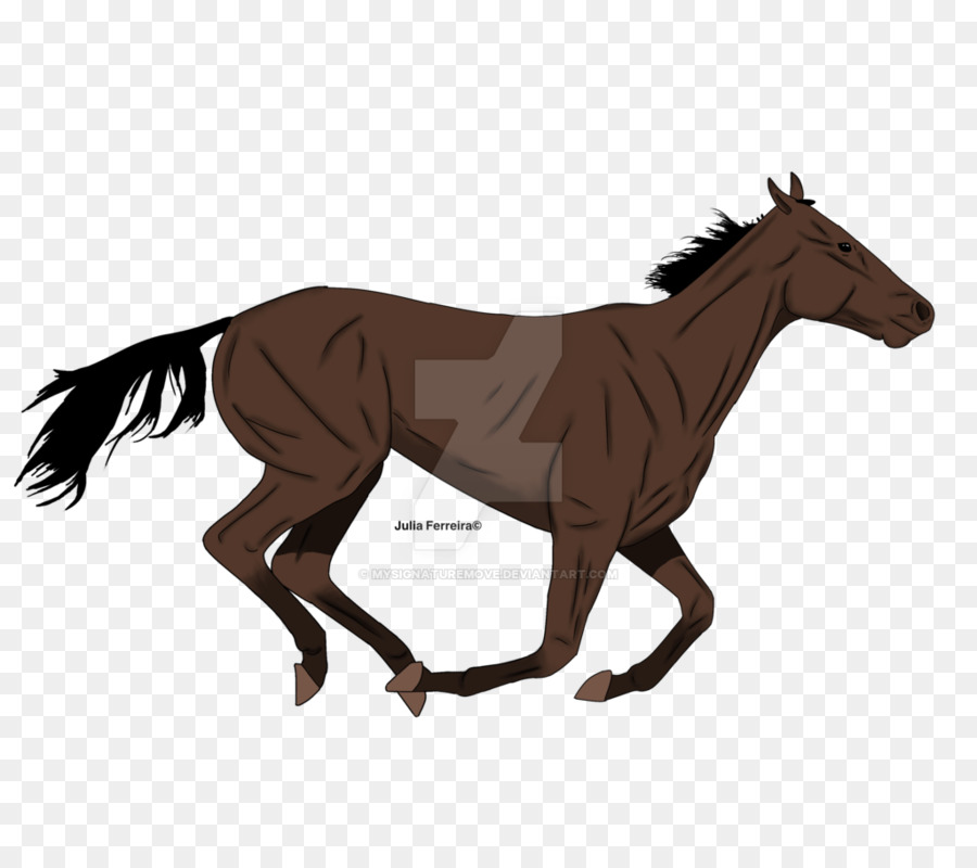 Mustang Puledro Stallone Pony film d'animazione - mustang
