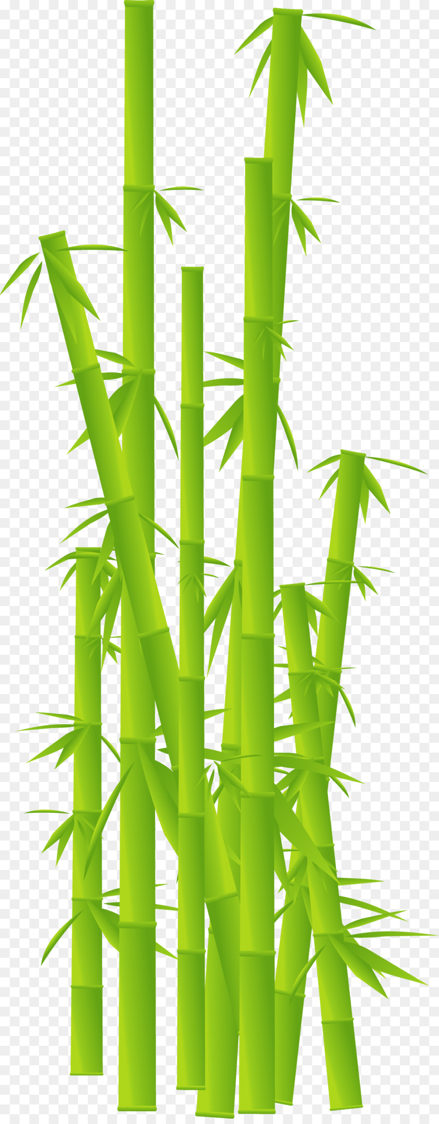 Tropical woody Bambus-Pflanze-Stiel Clip-art - Blatt