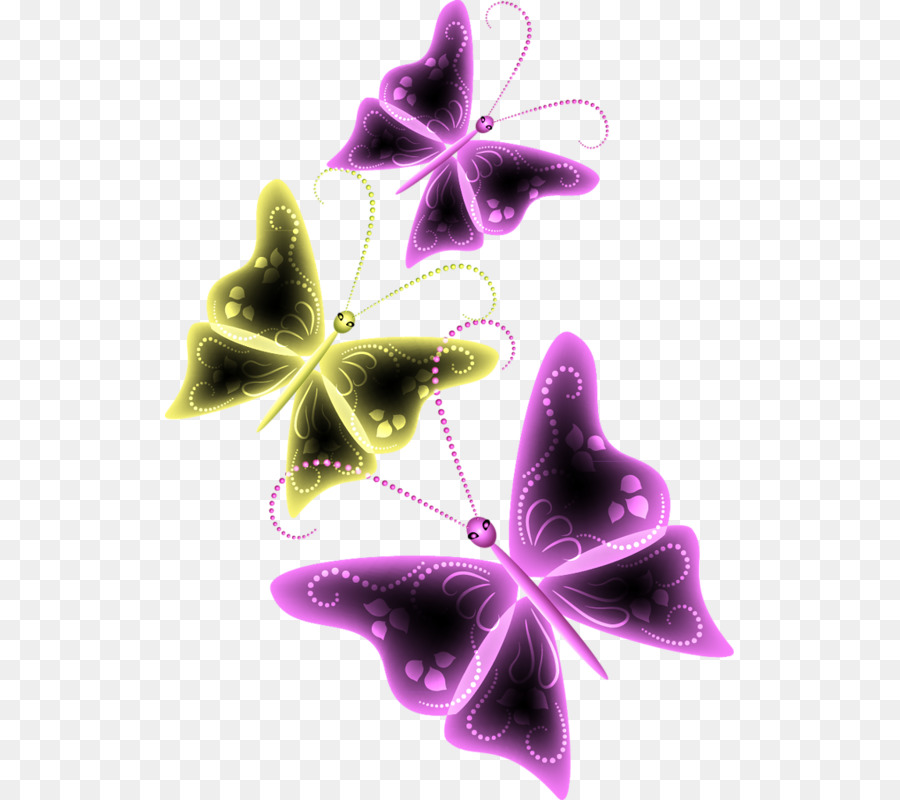 Bướm Côn trùng Animaatio Clip nghệ thuật - bướm