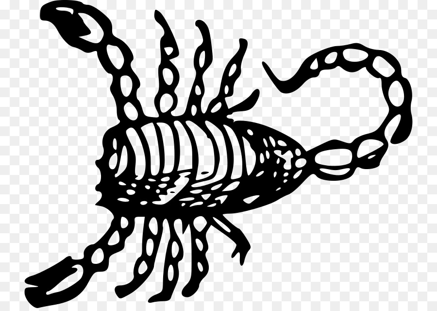 Scorpion Hoàng đạo Clip nghệ thuật - bọ cạp