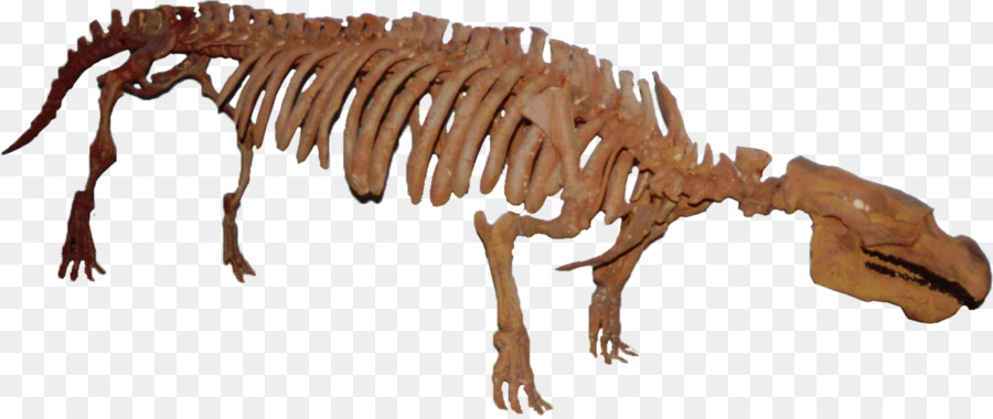 Tyrannosaurus Dugongidae Pezosiren Chi - những người khác