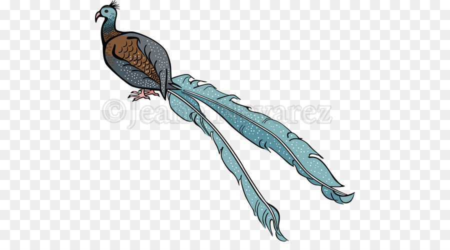 Macaw-Vogel-Schnabel-Federflügel - Vogel