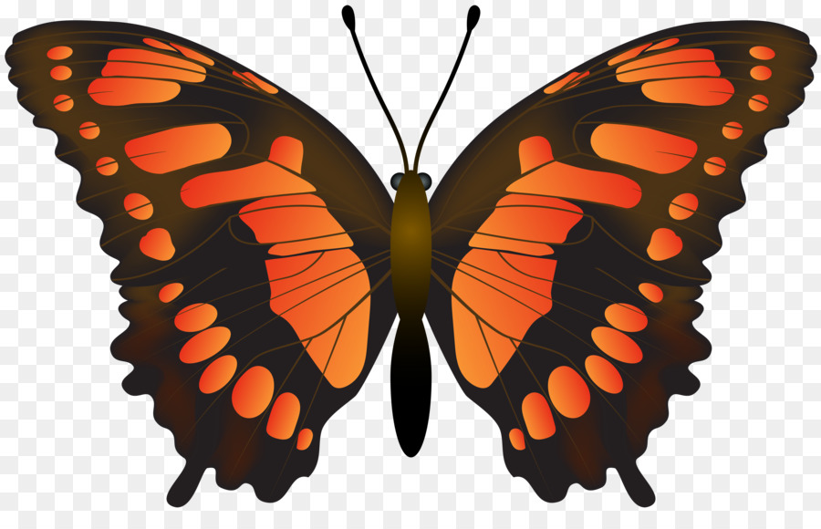 Farfalla monarca Pieridae Insetto Pennello zampe farfalle - clipart farfalla