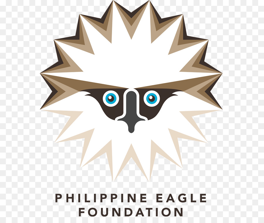 Die Philippine Eagle Foundation Bird of prey - Adler