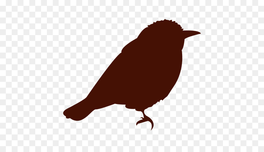 Silhouette Songbird Wren Disegno - silhouette