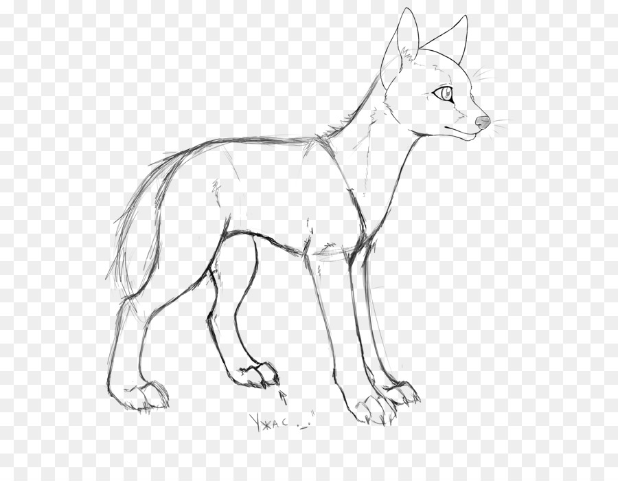 Red fox Cane di razza Linea arte Baffi - cane