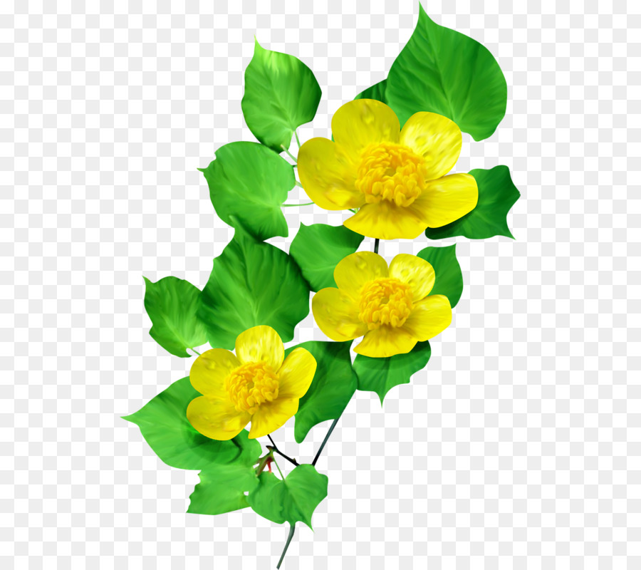 Blume, Blütenblatt Animaatio - Blume