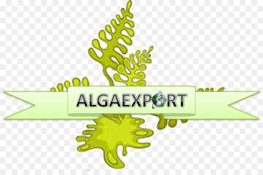 Algen Leaf - Blatt