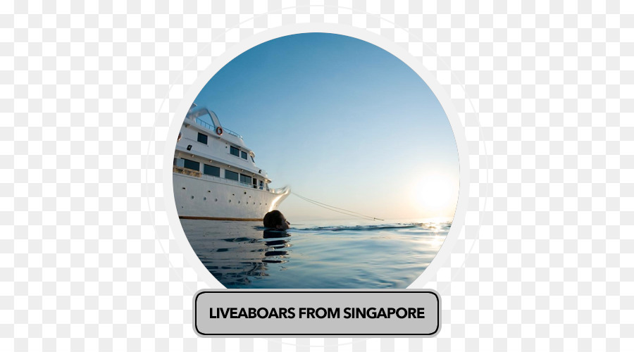 Maldive immersioni e Crociere Scuba immersioni subacquee - viaggi singapore