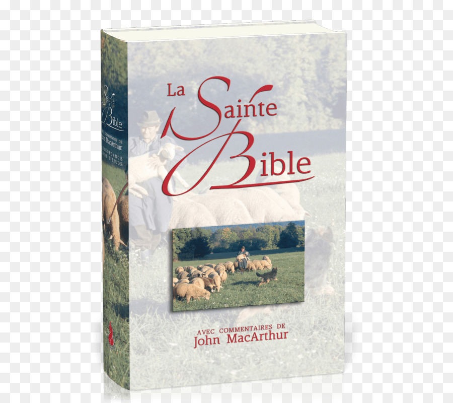 MacArthur Study Bible Schlachter Bibbia Sacra Bibbia: Francese Louis Segond Traduzione Di Lutero Bibbia - Prenota