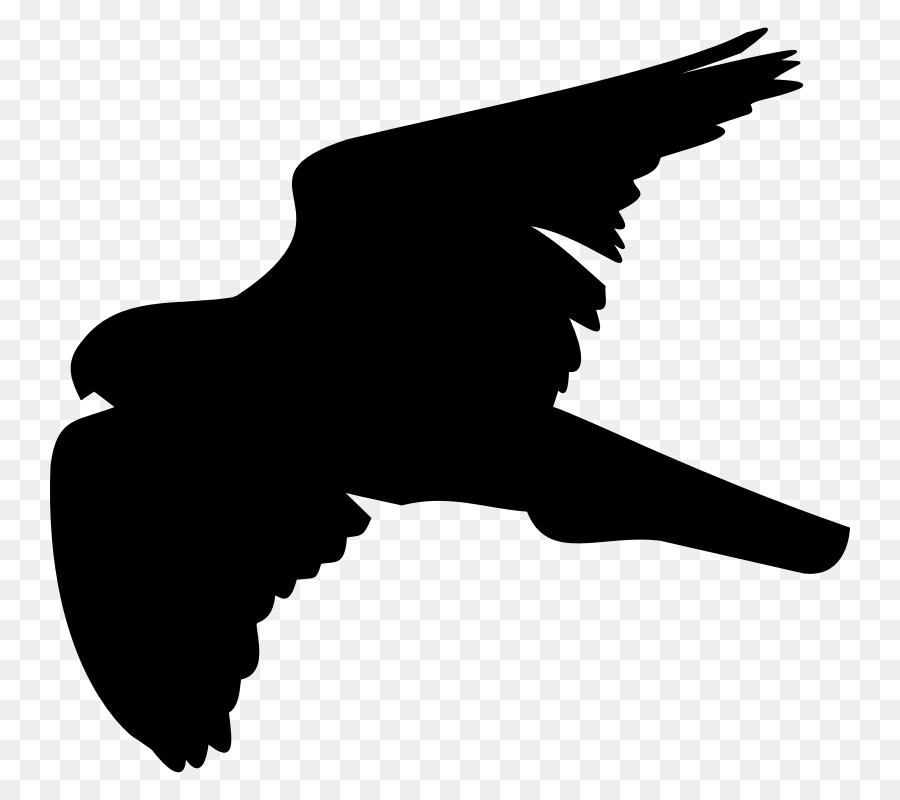 Vogel Computer-Icons Accipitridae bald Eagle clipart - Vogel