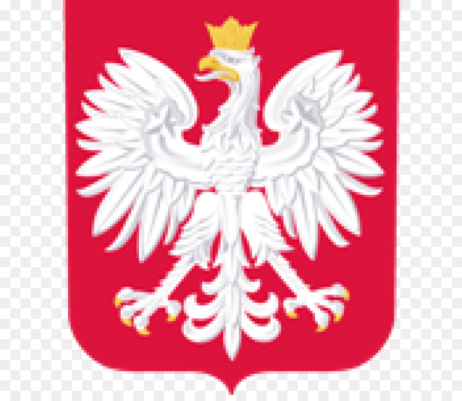 Polonia squadra nazionale di calcio del 2018 della Coppa del Mondo di Logo Stemma della Polonia - altri