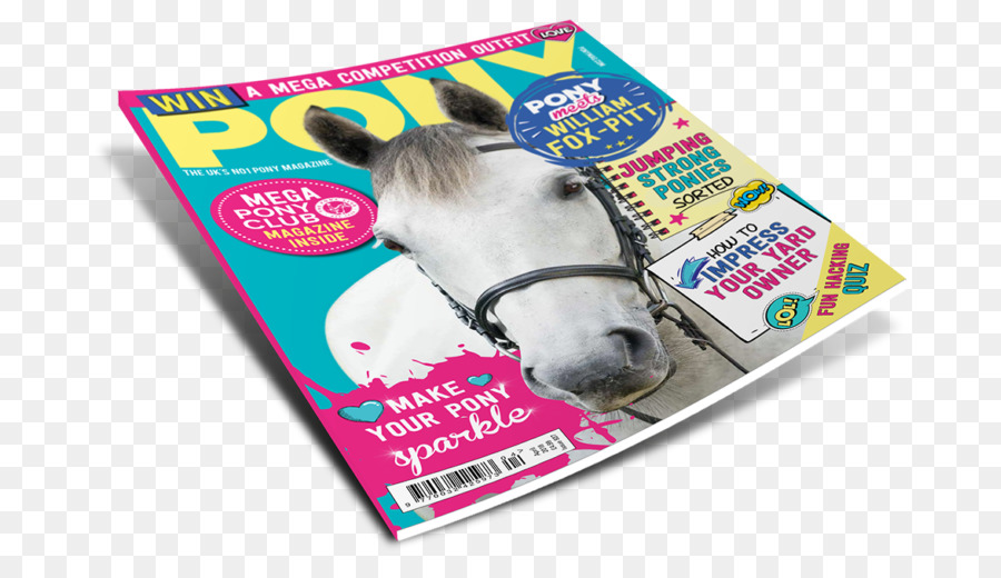 Pferd PONY Magazin Sie Wissen, Wie Zu Reise Tier - Pferd
