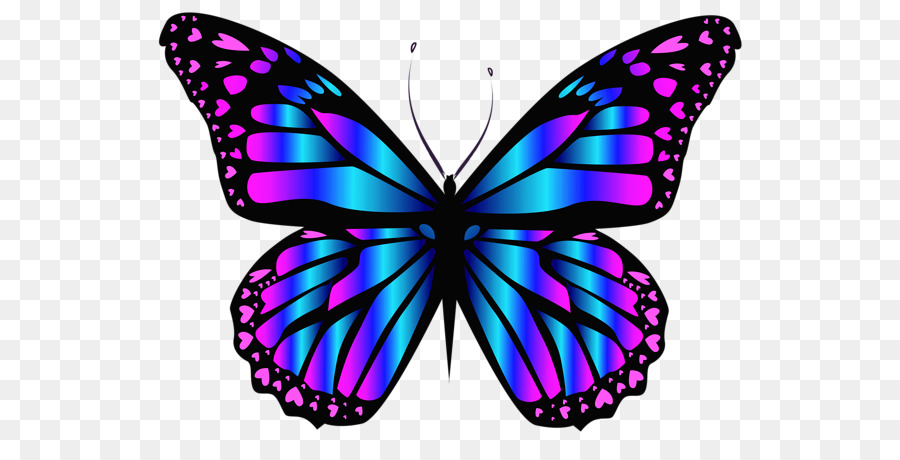 Farfalla, Insetto Blu, Clip art - farfalla