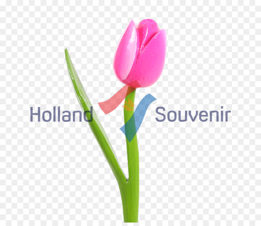 Tulip Sfondo per il Desktop del Petalo staminali Vegetali Computer - Tulipano