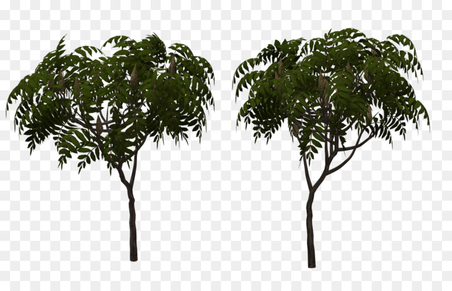 Chi nhánh thành phố typhina Cây Nghệ thuật - cây