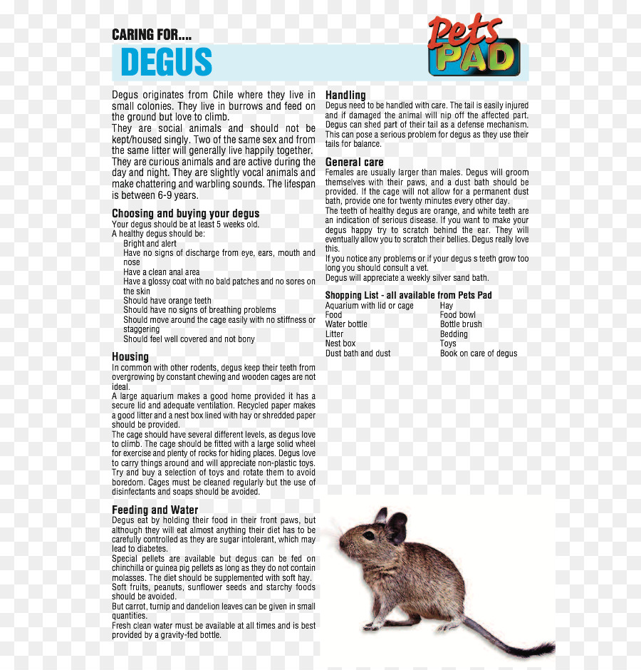 Muroids Golden hamster Schriftart - Tierpflege