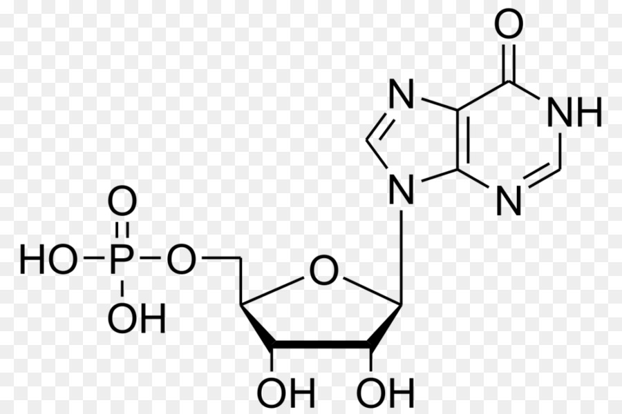 Inosinic acido Adenosin-monofosfato Deoxyuridine monofosfato di Guanosina monofosfato ciclico - altri