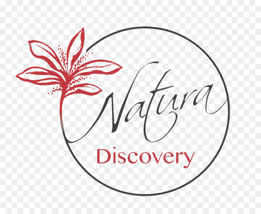 Natura Discovery-Bora Bora-Logo, Insel, Lagune, Jeep - Bora Bora