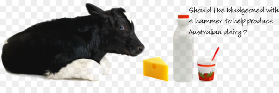 Giống chó Sổ tay Cho Giống Thay thế Cái từ Sữa để Bê Mõm - sự tàn ác, miễn phí
