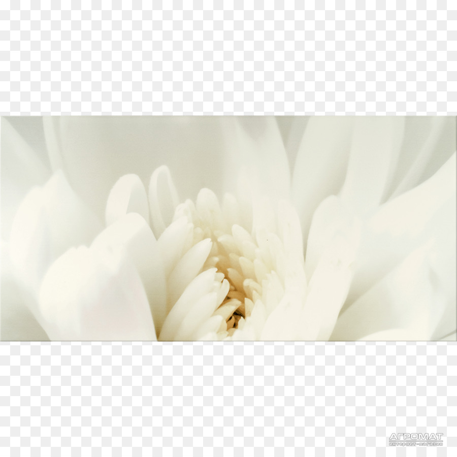 Opoczno Fliese Keramik Wand Keramamarket - beige Blume