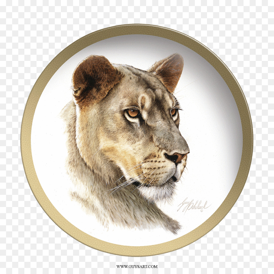 Lion Big cat Zeichnung, Malerei - großer Kopf