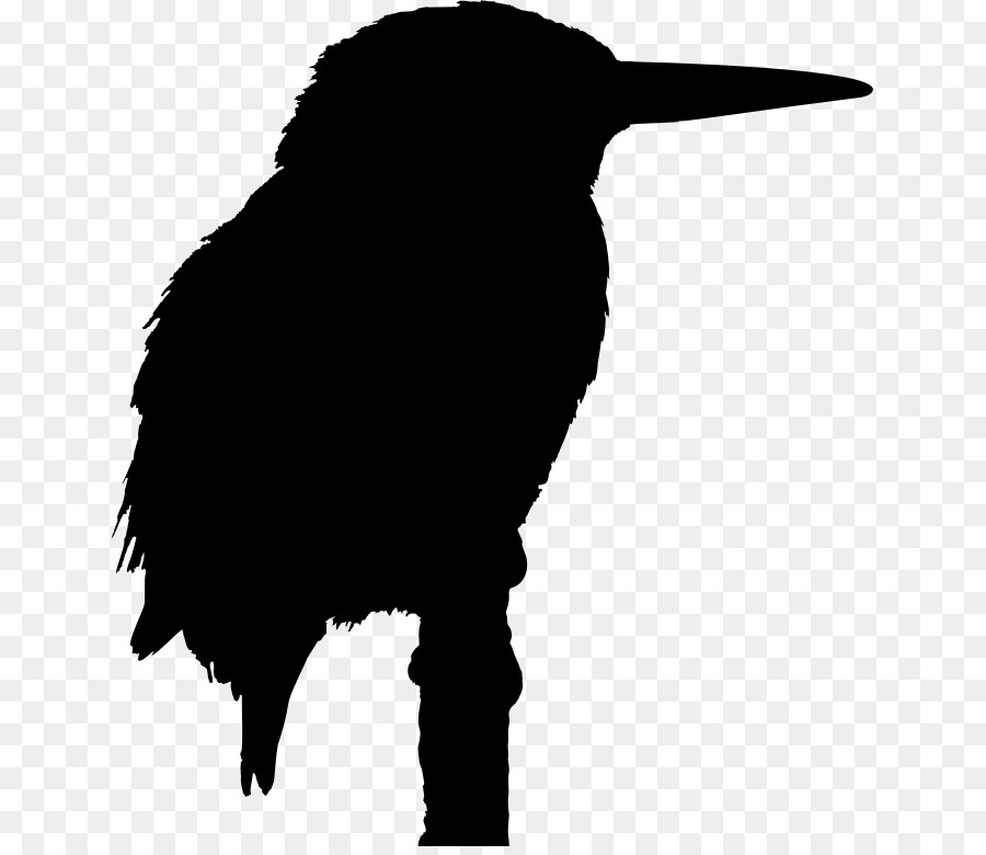 Big Bird Belted kingfisher Clip-art - Vogel