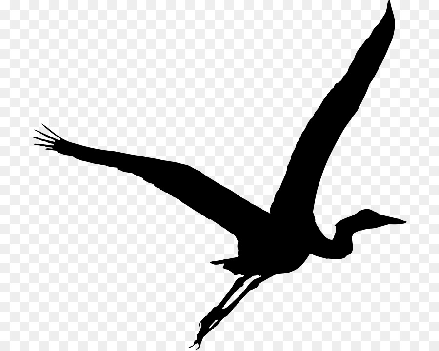 Great blue heron Bird clipart - Vogel