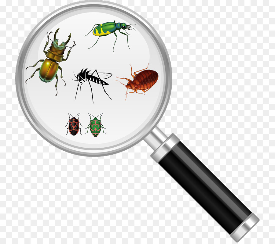 Insekt, Schabe-Schädlingsbekämpfung-Lupe - Tick Bug
