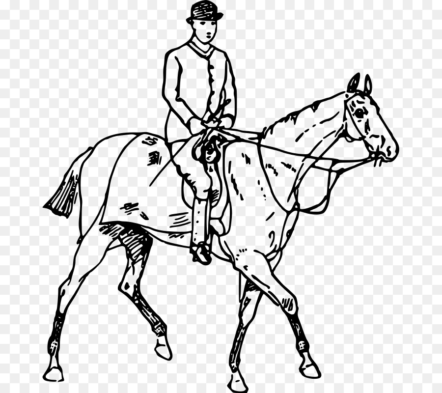Ngựa Vẽ cưỡi Ngựa Clip nghệ thuật - Con ngựa