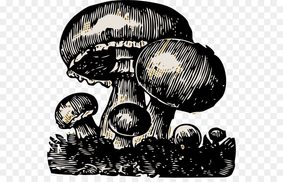 Mushroom cloud-Essen Clip art - Pilz