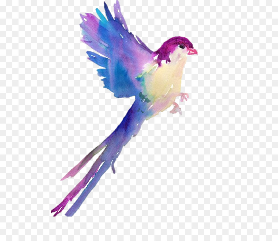 Chim hồng tước Tanager Màu nước sơn Vẽ - con chim
