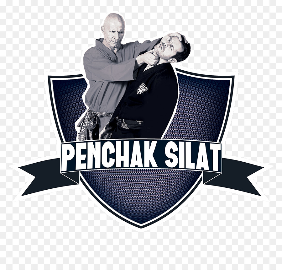 Thể dục thể thao - silat