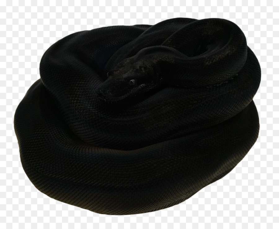Kopfbedeckung - Schlange den Kopf