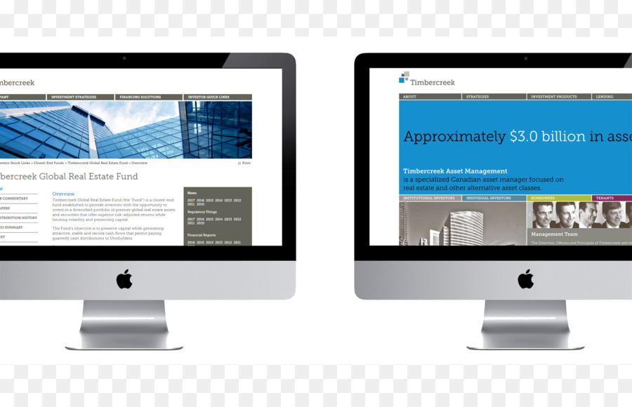 Responsive web design, sviluppo Web - web design