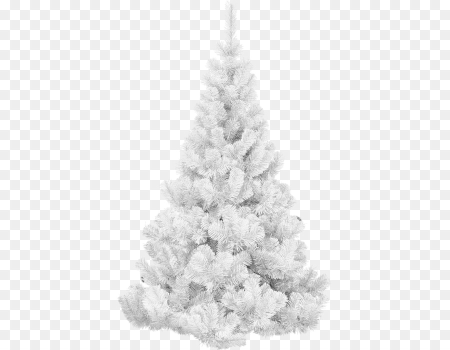 Weihnachtsbaum Fichte - Weihnachtsbaum