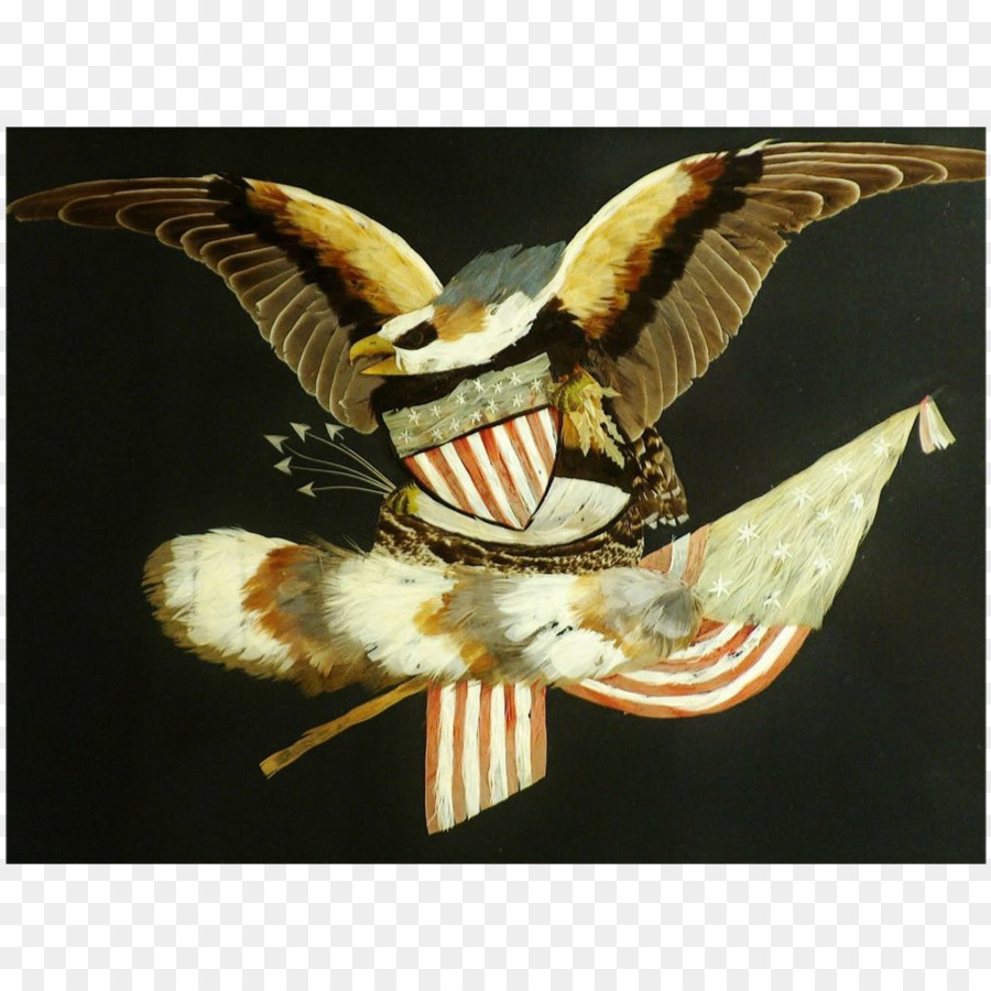 Bald Eagle Bird Folk art Feder - Vogel