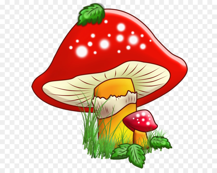 Pilz Zeichnung Mushroom Brown cap boletus-Fotografie - Pilz
