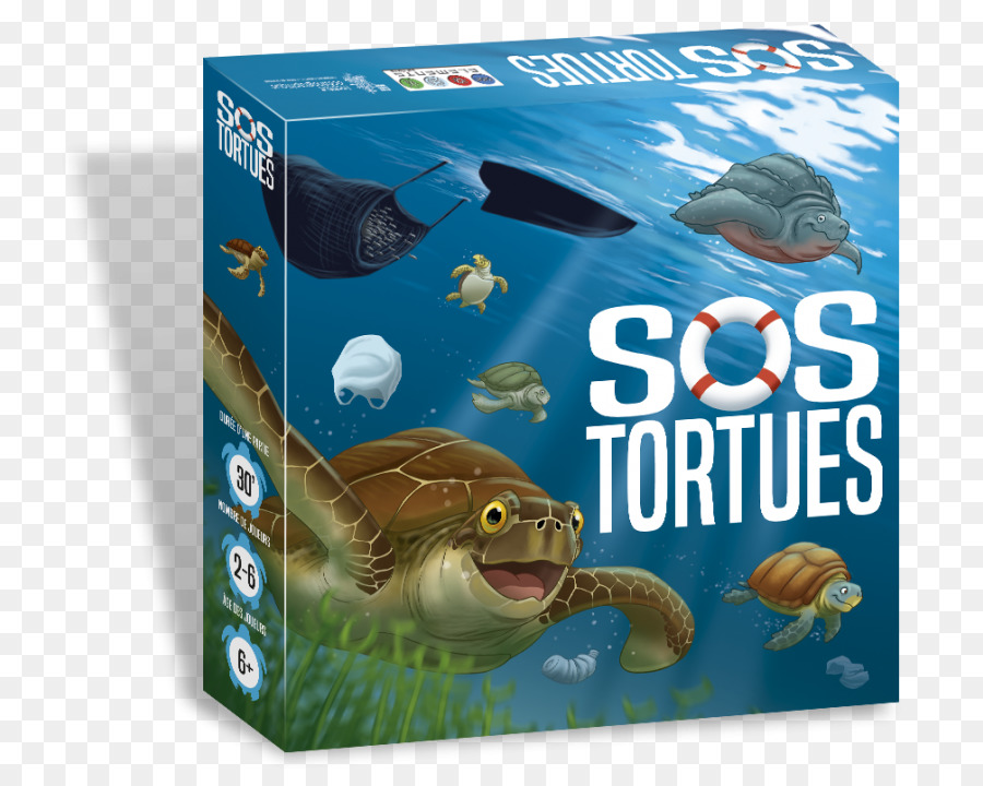 Sea turtle ozeanographische Museum SOS Tortues Spiel - Schildkröte