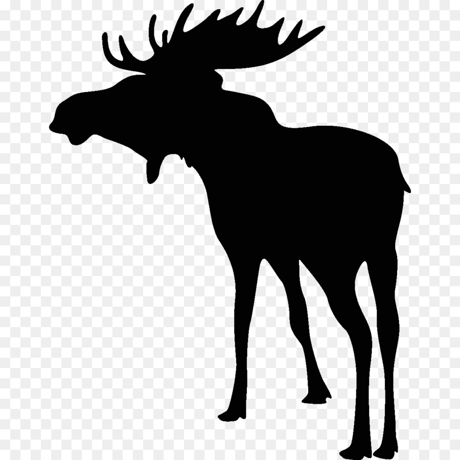 Deer Jagd auf Elche Bowhunting - Hirsch