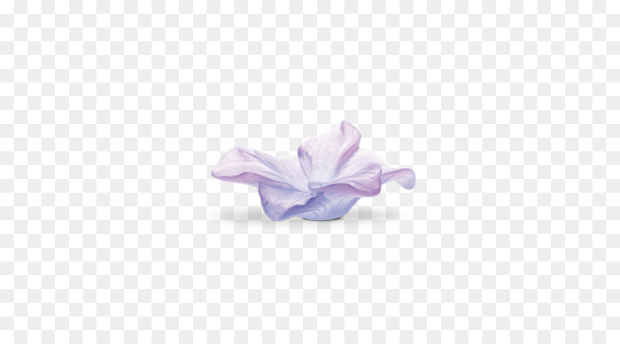 Lila Blütenblatt Violet Daum Amaryllis - lila